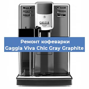 Чистка кофемашины Gaggia Viva Chic Gray Graphite от накипи в Ростове-на-Дону